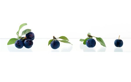 purple color fruit outline - Quetsch plums Stock Photo - Rights-Managed, Code: 825-06049705