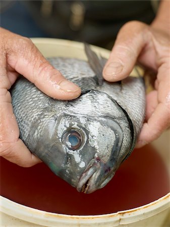 foods var - Man holding a raw seabream Stock Photo - Rights-Managed, Code: 825-06315462