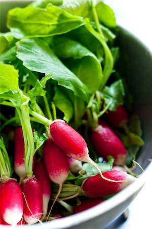 pink radish - Radishes Foto de stock - Con derechos protegidos, Código: 825-06316102