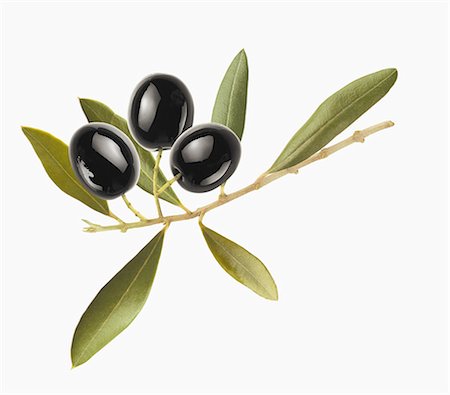 Small olive branch Photographie de stock - Rights-Managed, Code: 825-06815267