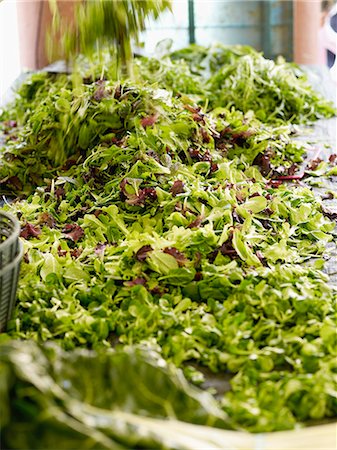 Mesclun on a market stall Photographie de stock - Rights-Managed, Code: 825-06815526