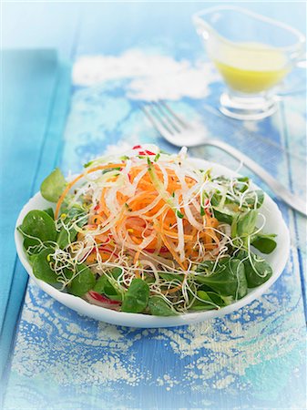 simsearch:825-06316760,k - Watercress,carrot ,onion and beansprout salad Photographie de stock - Rights-Managed, Code: 825-06815684