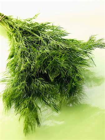 simsearch:652-03802495,k - Bunch of dill Photographie de stock - Rights-Managed, Code: 825-06816288