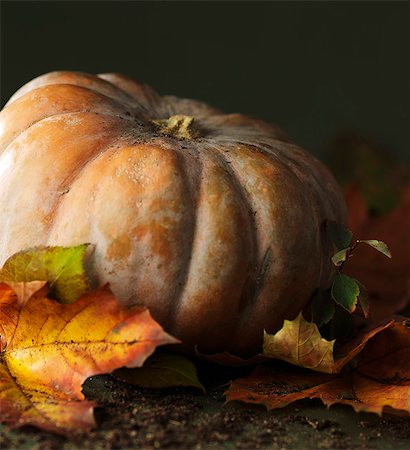 simsearch:652-07655223,k - Composition with a pumpkin and autumn leaves Stockbilder - Lizenzpflichtiges, Bildnummer: 825-06817965