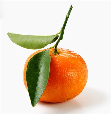 Clementine Stock Photo - Rights-Managed, Code: 825-07076464