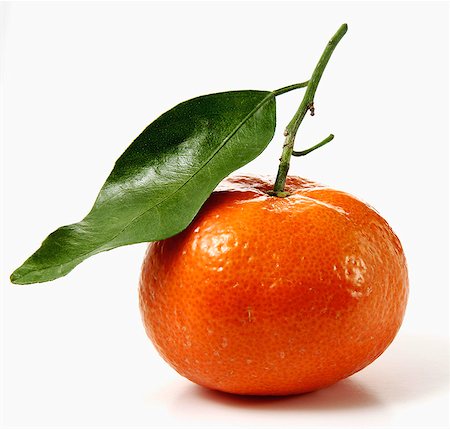 simsearch:825-05986695,k - Clementine Stock Photo - Rights-Managed, Code: 825-07076465