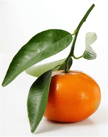 Clementine Stock Photo - Rights-Managed, Code: 825-07076466