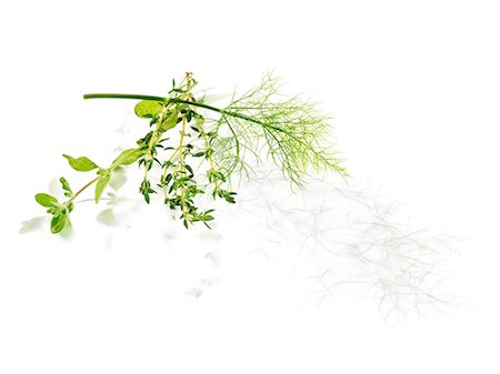 simsearch:652-03802495,k - Selection of fresh herbs Photographie de stock - Rights-Managed, Code: 825-07076494