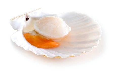 simsearch:825-07078214,k - Rawsacllop in it's shell Stock Photo - Rights-Managed, Code: 825-07076498