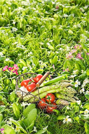 simsearch:652-05809081,k - Basket of green asparagus and tomatoes in the grass Photographie de stock - Rights-Managed, Code: 825-07076511