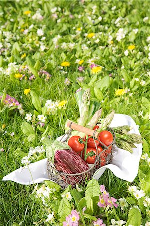 simsearch:652-05809081,k - Basket of vegetables in the grass Photographie de stock - Rights-Managed, Code: 825-07076512