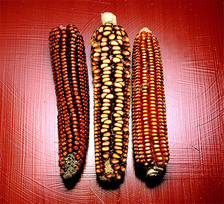 simsearch:652-07655302,k - Dried corn on the cobs Foto de stock - Con derechos protegidos, Código: 825-07077249