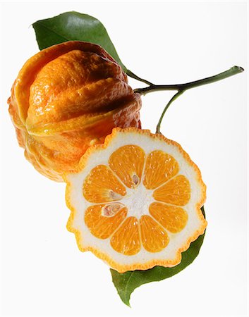 simsearch:825-07078163,k - Cut-out Seville orange Foto de stock - Con derechos protegidos, Código: 825-07077280