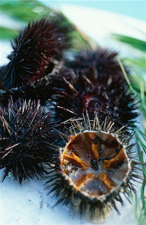 sea urchins - Urchins Photographie de stock - Rights-Managed, Code: 825-07077501