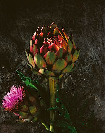 simsearch:825-06816363,k - Artichoke Stockbilder - Lizenzpflichtiges, Bildnummer: 825-07077604