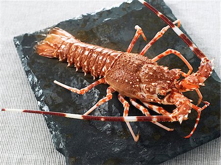 simsearch:825-05811225,k - Breton spiny lobster Stockbilder - Lizenzpflichtiges, Bildnummer: 825-07077947