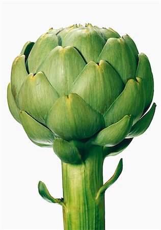 simsearch:825-07078175,k - Breton artichoke Stock Photo - Rights-Managed, Code: 825-07077948