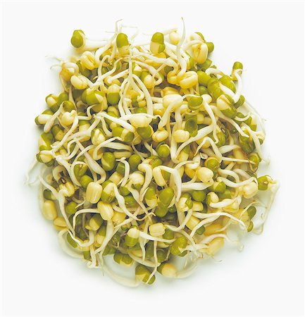 Sprouting soya beans Stock Photo - Rights-Managed, Code: 825-07078137