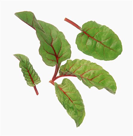 simsearch:622-06842462,k - Beetroot leaves Stock Photo - Rights-Managed, Code: 825-07078234