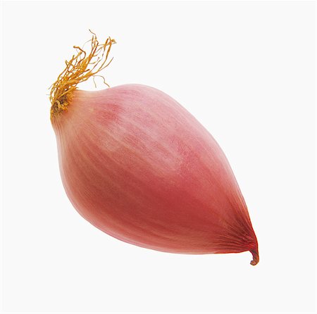 Onion from Figueras Photographie de stock - Rights-Managed, Code: 825-07078235