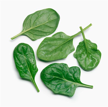 spinach - Baby spinach leaves Stock Photo - Rights-Managed, Code: 825-07078267