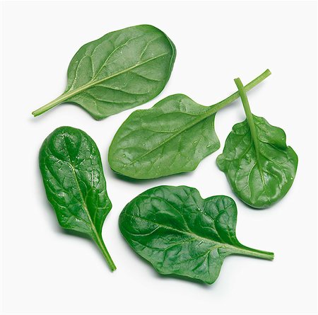 simsearch:825-07649177,k - Baby spinach leaves Stockbilder - Lizenzpflichtiges, Bildnummer: 825-07078267