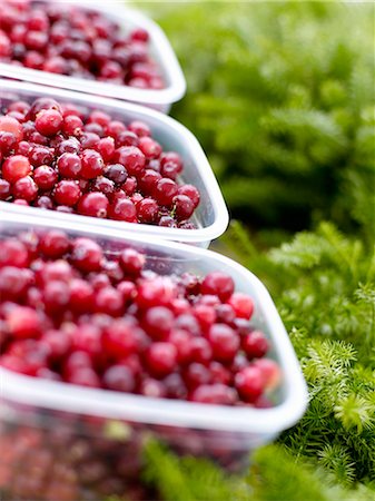 Punnets of cranberries Stock Photo - Rights-Managed, Code: 825-07523157