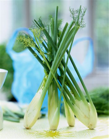 stem vegetable - fennel Foto de stock - Con derechos protegidos, Código: 825-02304618