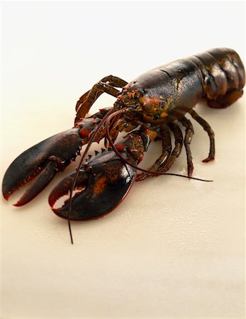 Lobster Stock Photo - Rights-Managed, Code: 825-02305793