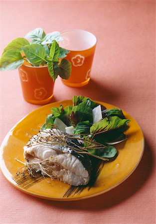 grilled bass with dried fennel Stock Photo - Rights-Managed, Code: 825-02306223