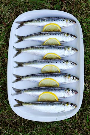 sardine - sardines Stock Photo - Rights-Managed, Code: 825-02306865