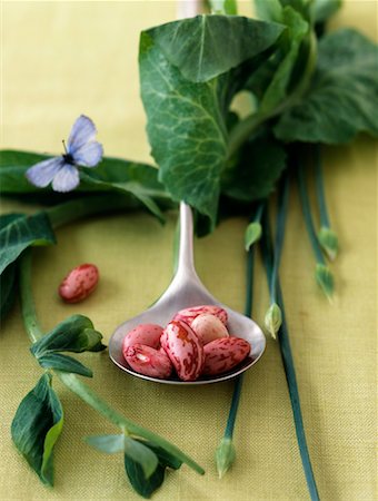 Spoonful of borlotti beans and chives with buds Stock Photo - Rights-Managed, Code: 825-02307195