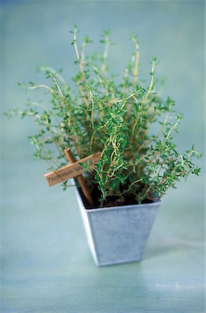 thyme Stock Photo - Rights-Managed, Code: 825-02307911