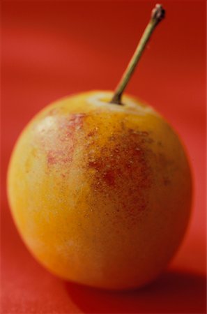 mirabelle plum Foto de stock - Con derechos protegidos, Código: 825-02308001