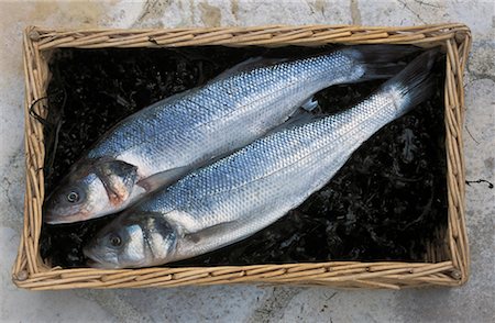 fish in box - bass Stock Photo - Rights-Managed, Code: 825-02308062