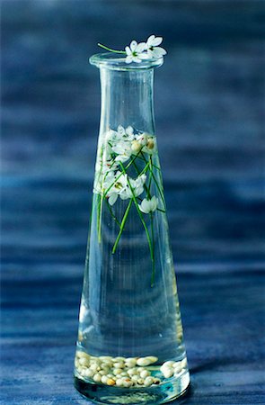 sativum coriander - Vinegar with bear's garlic Stock Photo - Rights-Managed, Code: 825-02308184