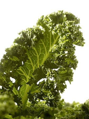 Close-up of a leaf of kale Foto de stock - Con derechos protegidos, Código: 825-02308522