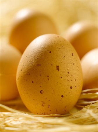 egg and farm - eggs Stock Photo - Rights-Managed, Code: 825-02308633