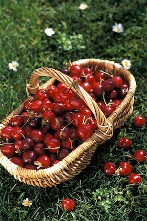 Basket of cherries on the grass Stock Photo - Rights-Managed, Code: 825-02302702