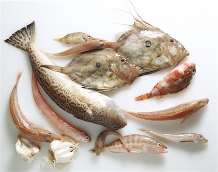 Raw Saint Pierre,scorpion fish and Grandin Stock Photo - Rights-Managed, Code: 825-02302767