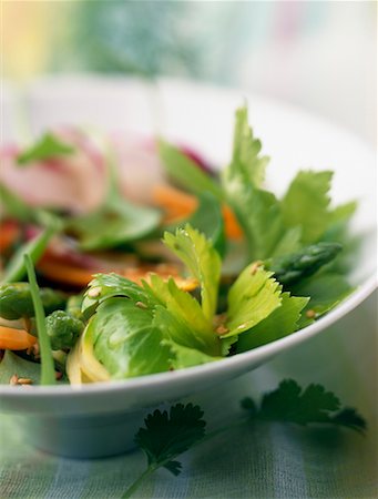 Mixed salad with basil Stock Photo - Rights-Managed, Code: 825-02303005