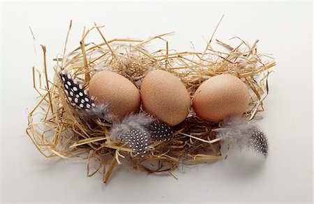 straw (dry vegetation or crop) - Guinea-fowl eggs Stock Photo - Rights-Managed, Code: 825-03626874