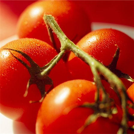 simsearch:825-03626988,k - Tas de tomates Photographie de stock - Rights-Managed, Code: 825-03626992