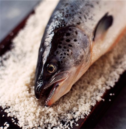 salt bed - Salmon head and salt Stock Photo - Rights-Managed, Code: 825-03627100