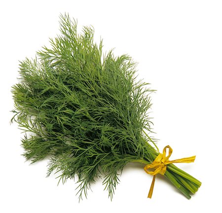 dill - Bunch of fresh dill Foto de stock - Con derechos protegidos, Código: 825-03627601