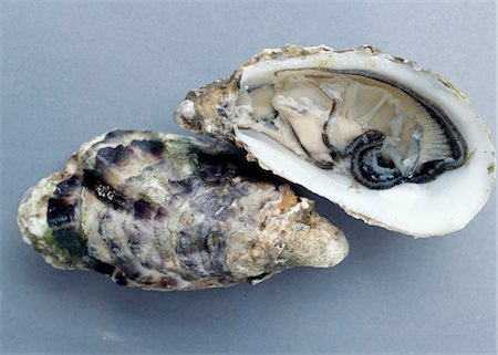 Oysters Stock Photo - Rights-Managed, Code: 825-03627911