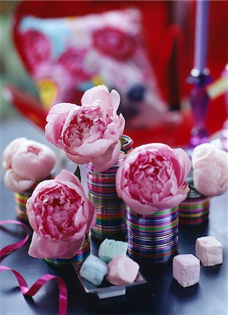 peonia - Peonies Foto de stock - Con derechos protegidos, Código: 825-03628085