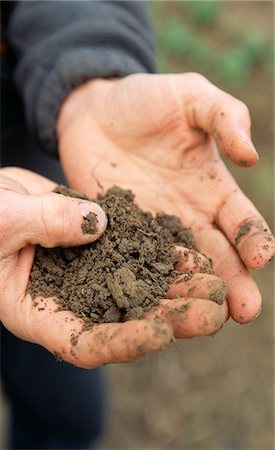 farmer soil and hand - Handful of organic earth Stock Photo - Rights-Managed, Code: 825-03628190