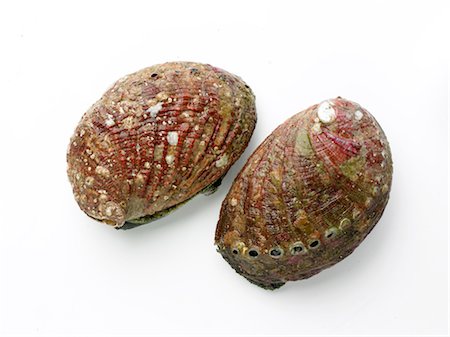 simsearch:825-03627911,k - Abalones Stock Photo - Rights-Managed, Code: 825-03628426