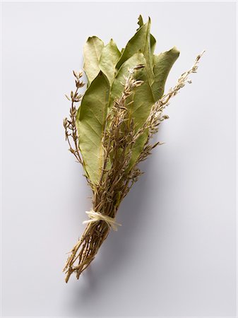 sage plant silhouette - Bouquet garni Foto de stock - Con derechos protegidos, Código: 825-03628485